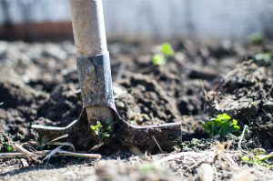 shovel in mud