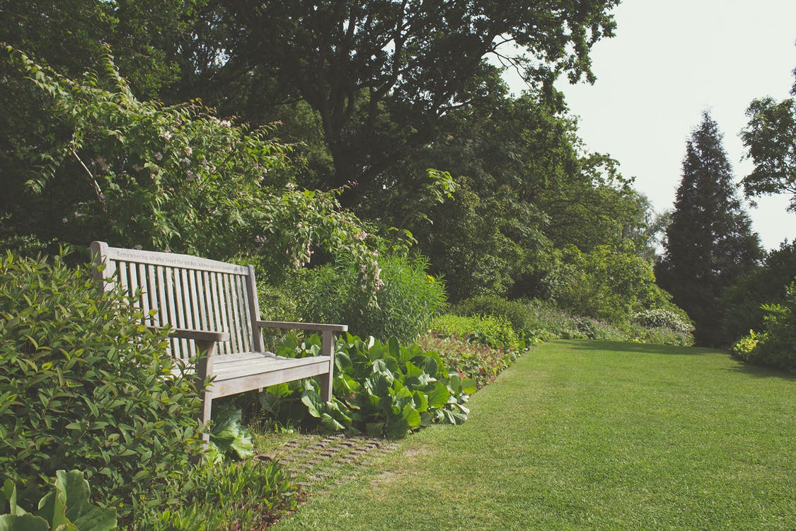 hidden bench in garden
