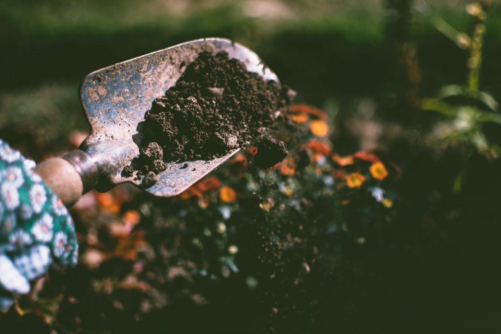 autumn gardening