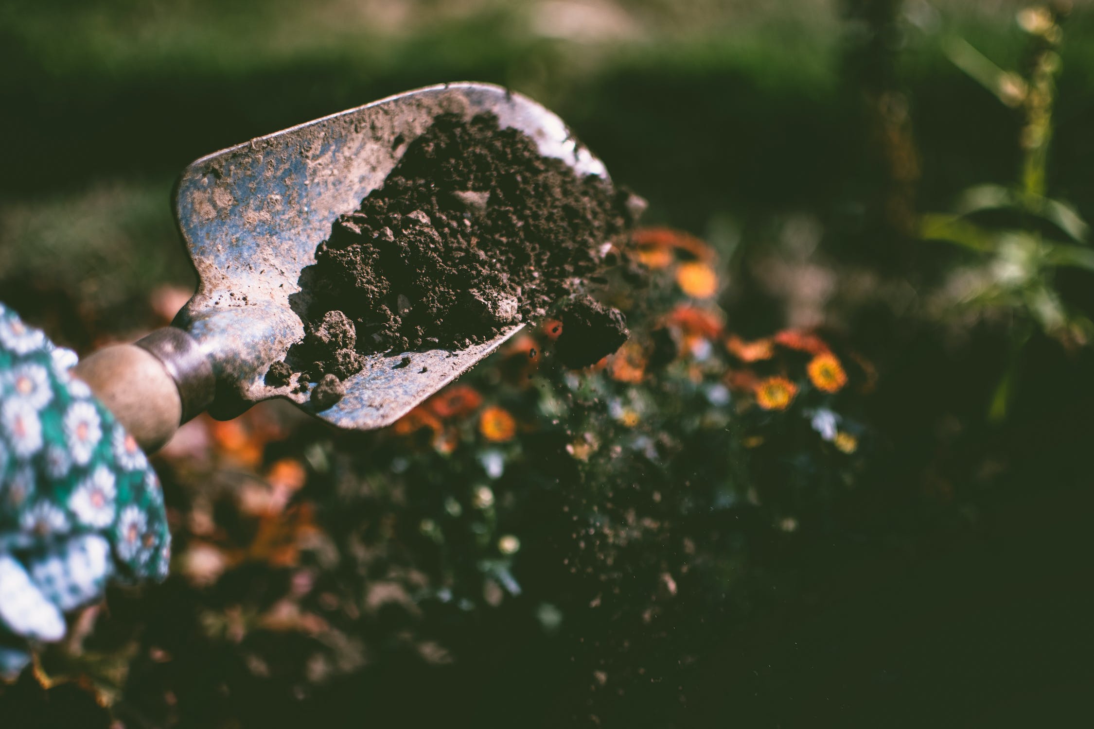 autumn gardening