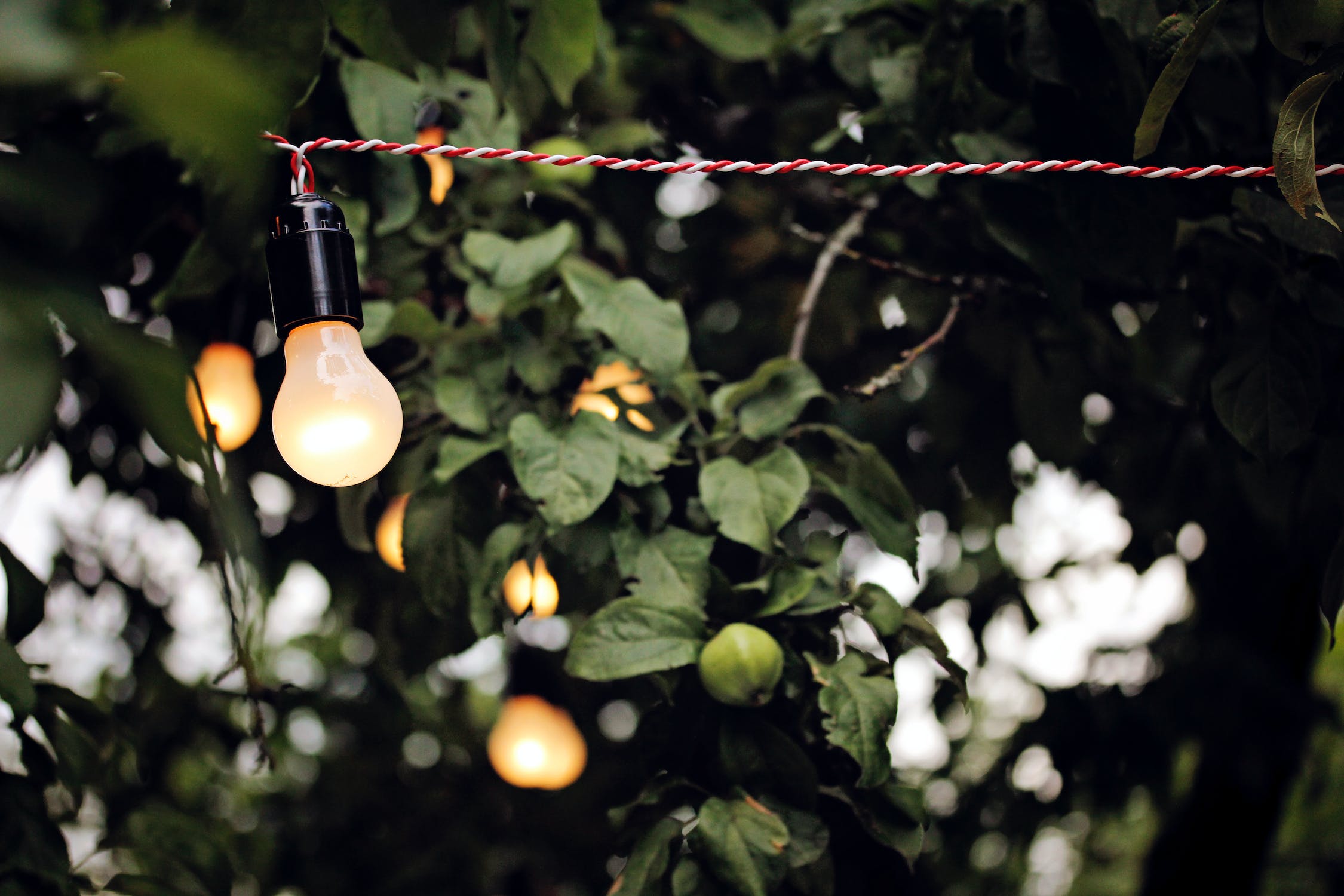 garden lighting