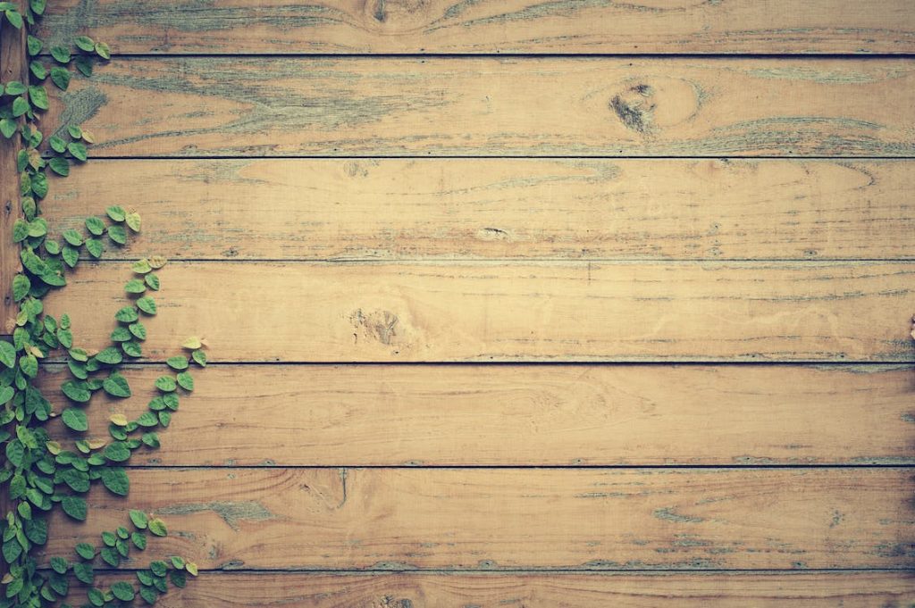 natural wood fence