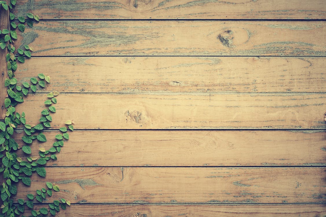 natural wood fence