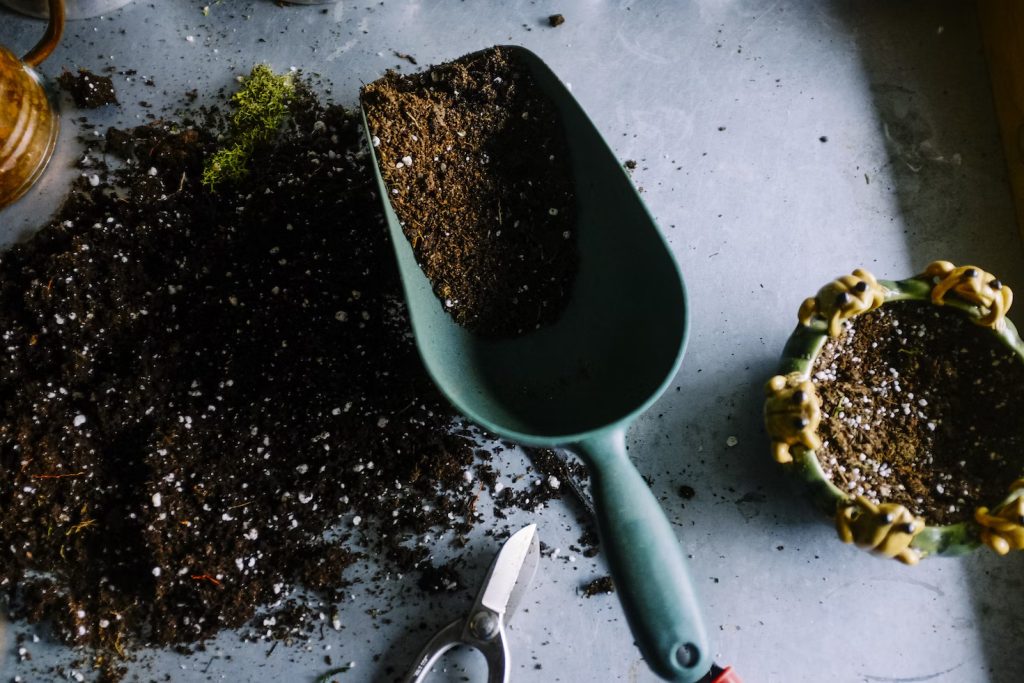 compost in trowel