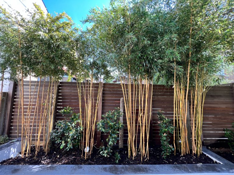 vertical gardening