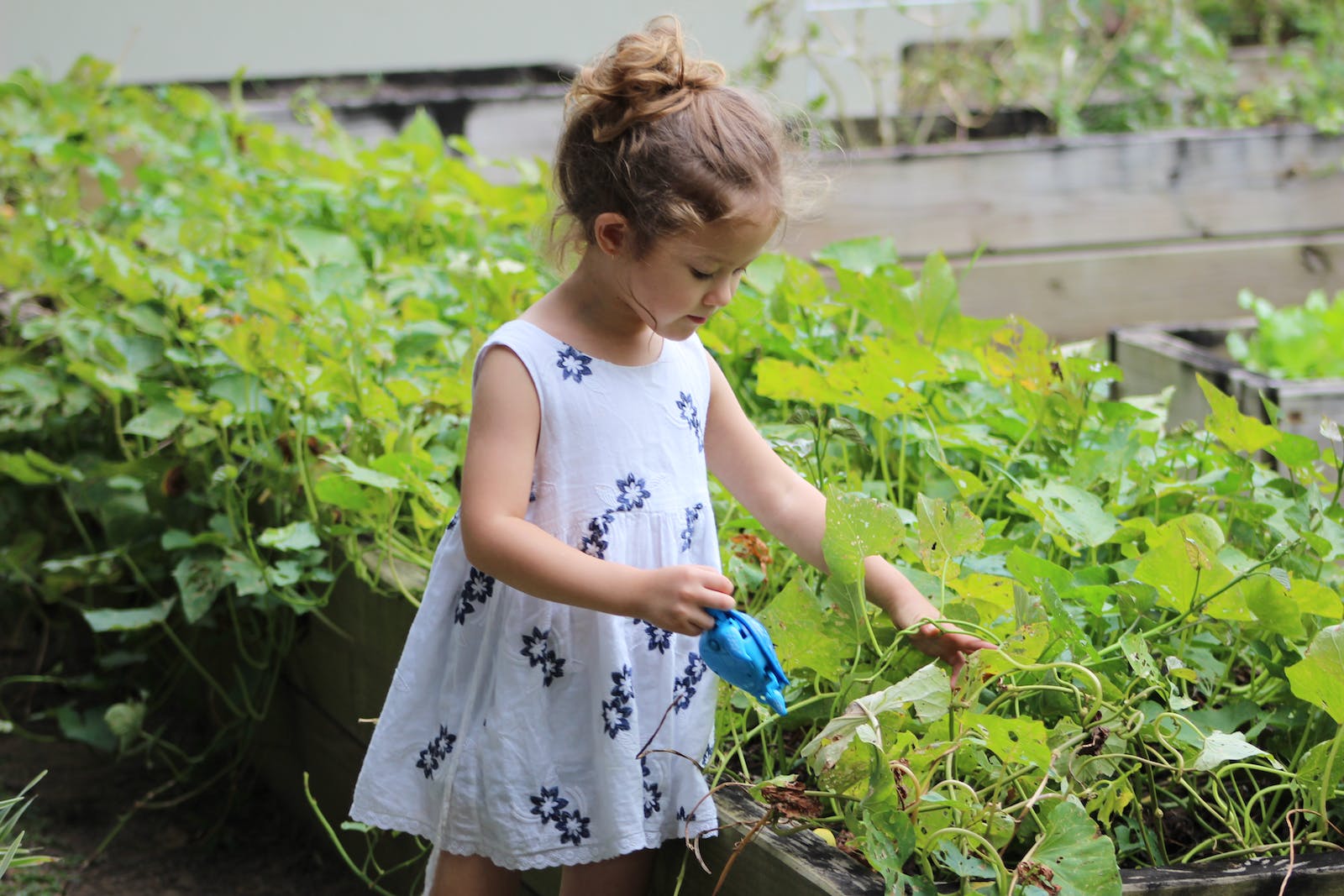 child in garden
