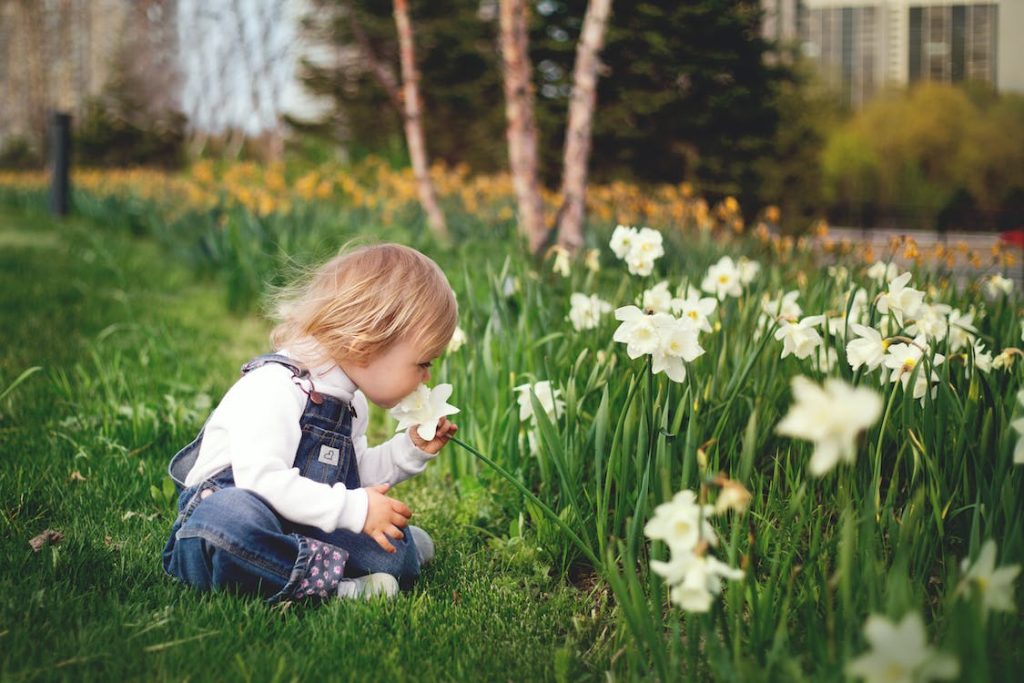 small child smelling flower