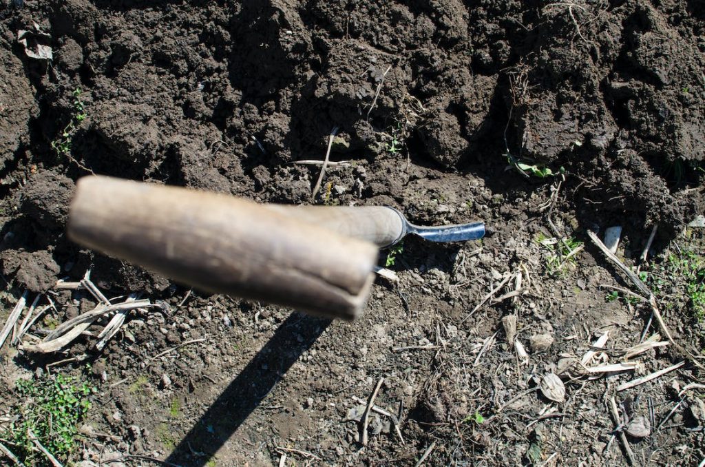 shovel in ground