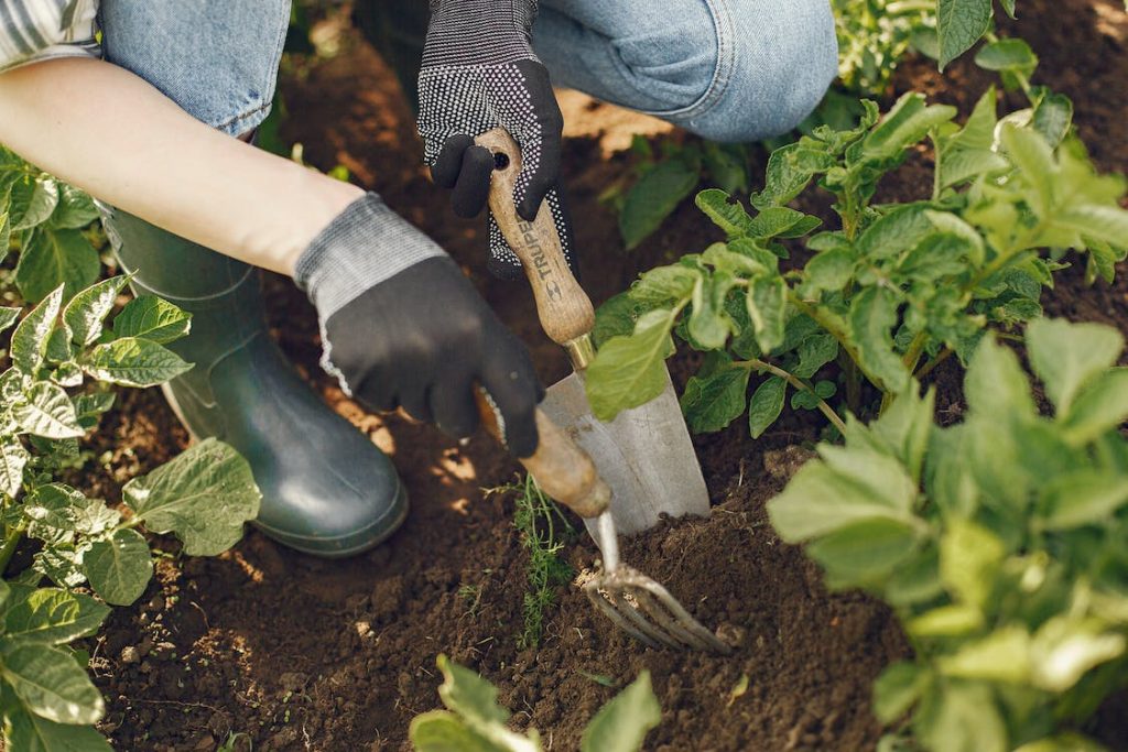 tools digging up mud