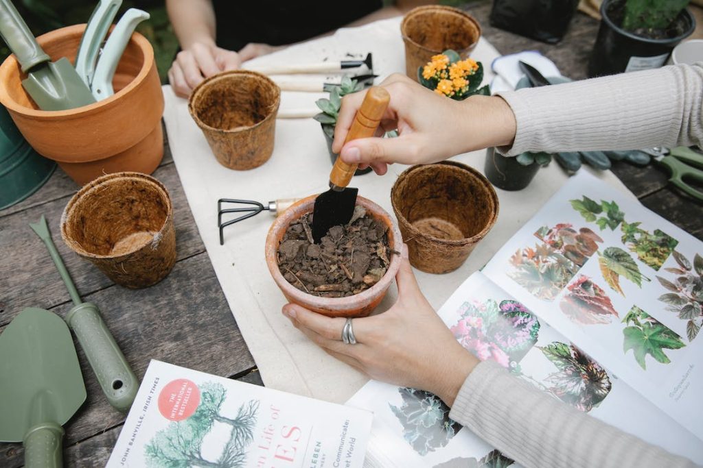 planting bulbs from a book