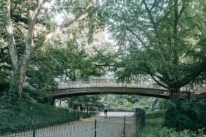 bridge over path in park