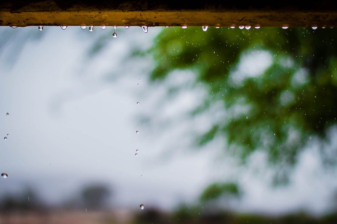 rainwater