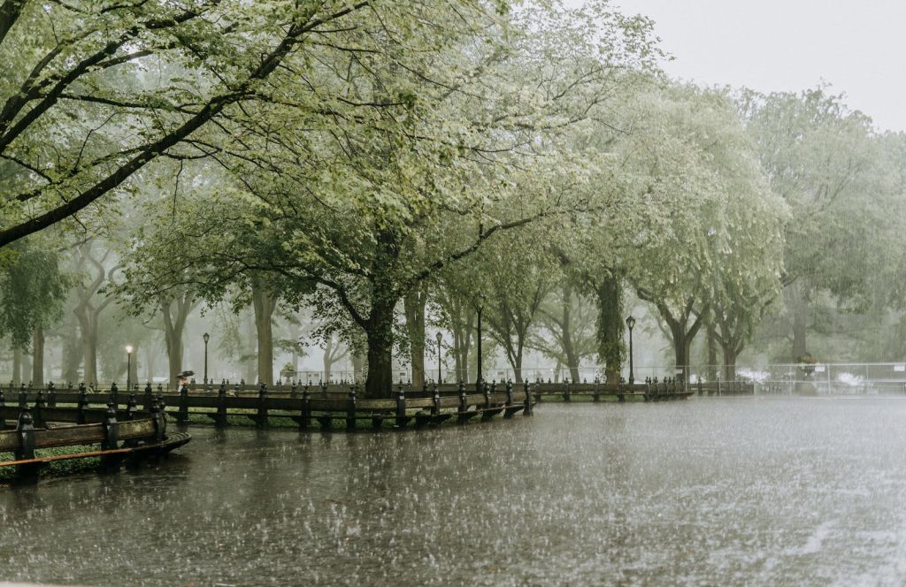 heavy rainfall in public park