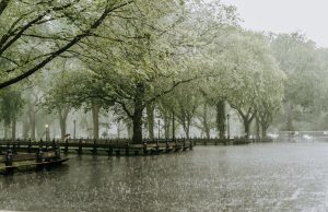 heavy rainfall in public park