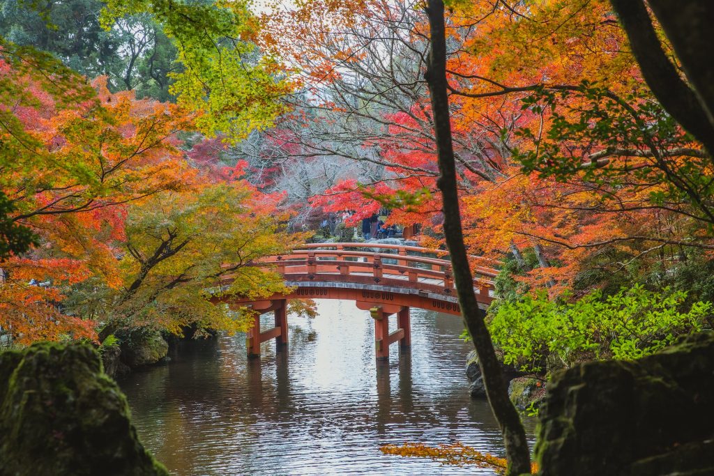 bridge in japanese garden