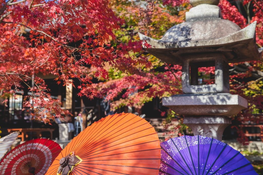 japanese garden