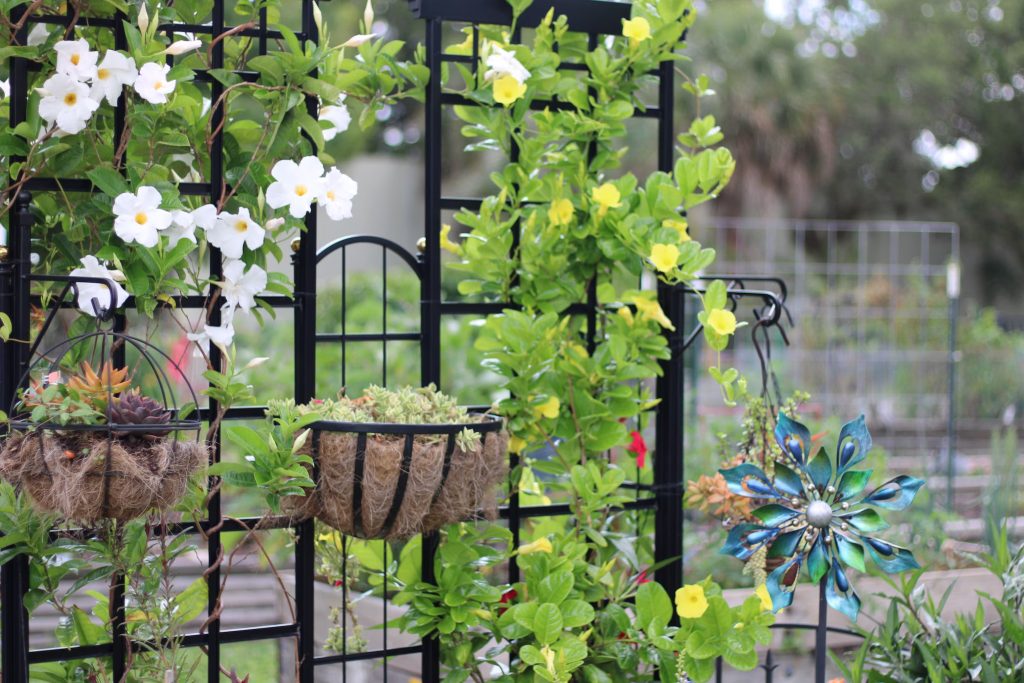 vertical gardening