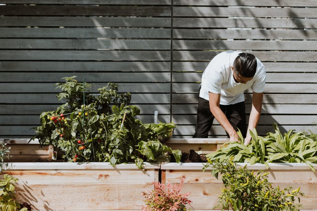 man doing gardening
