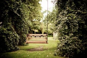 garden bench inbetween trees