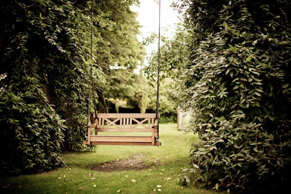 garden bench inbetween trees