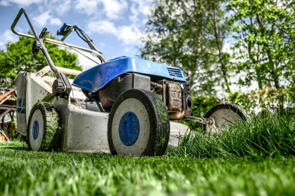 lawn