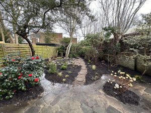 natural garden