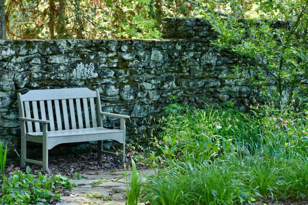 bench in garden