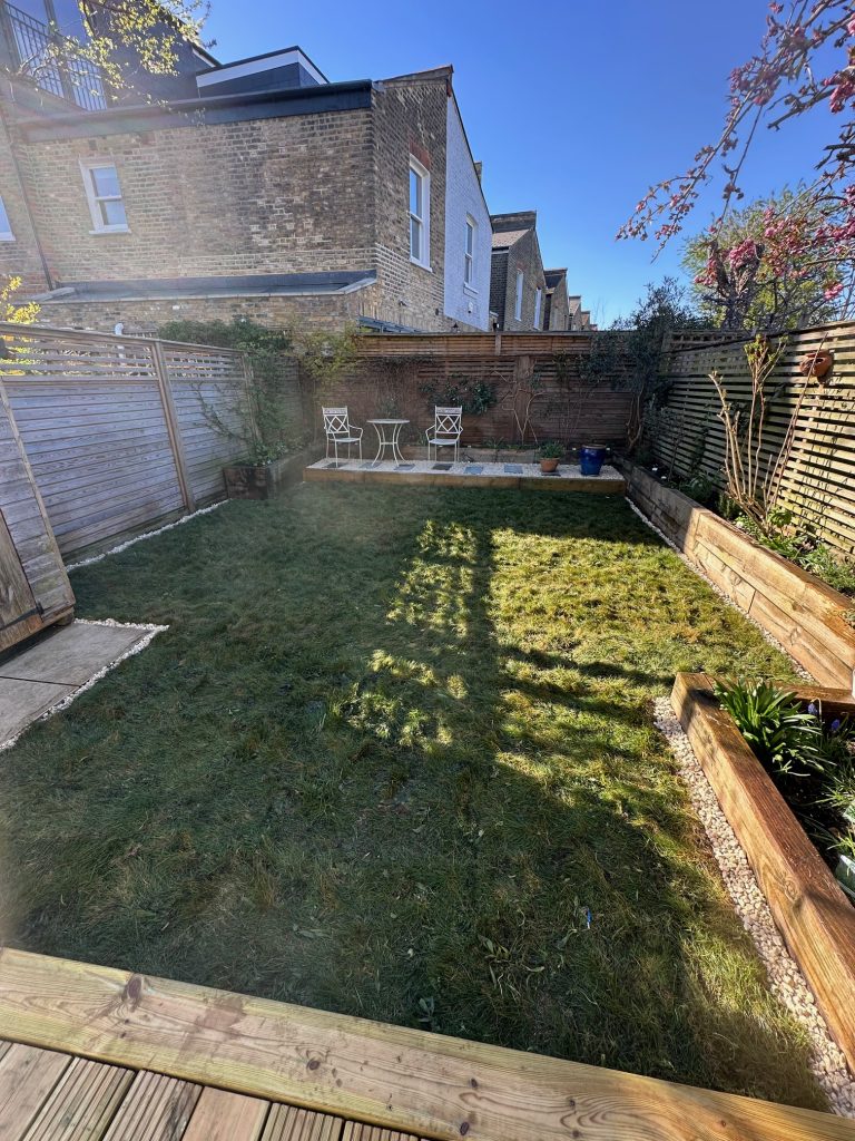Biodiverse turf in garden