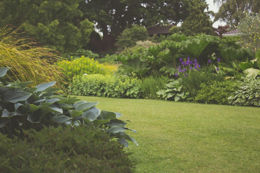 garden with flowers and grass