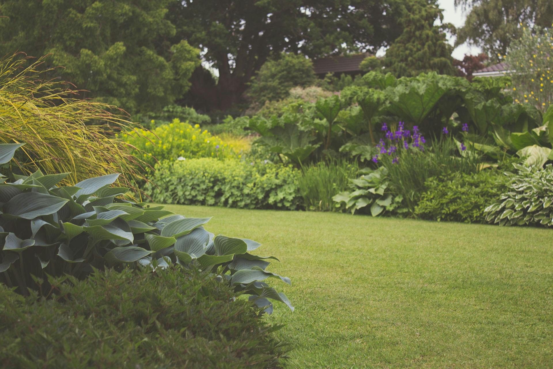 garden with flowers and grass