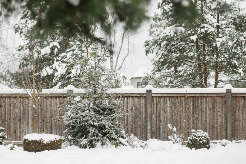 southwest london garden in winter
