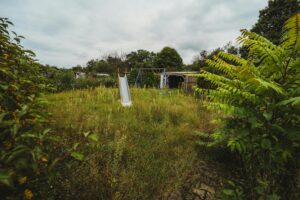 overgrown garden