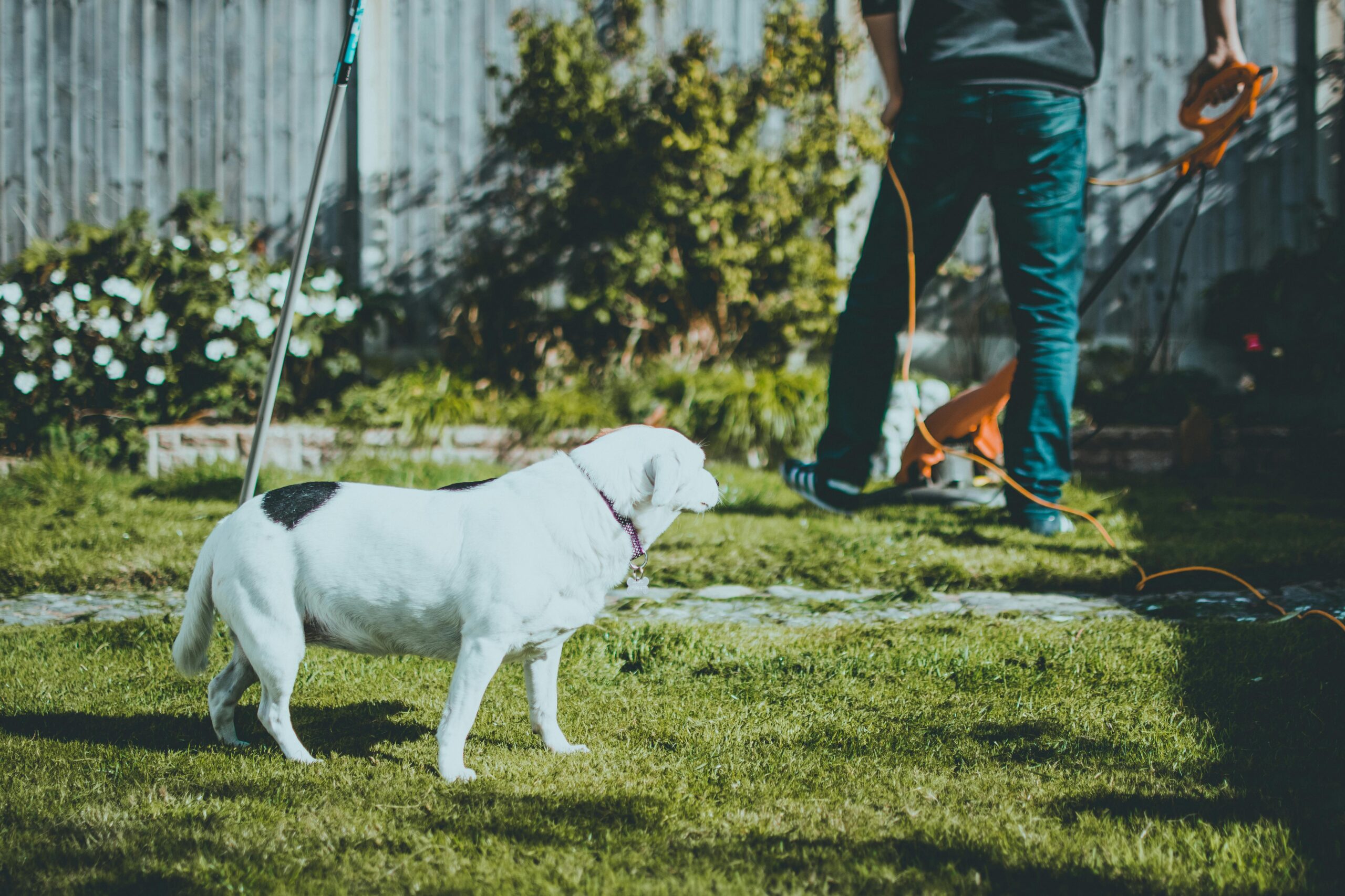 person performing a garden makeover