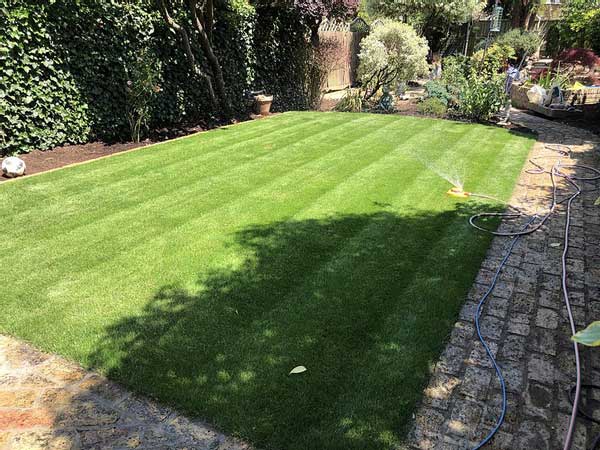 garden renovation in putney