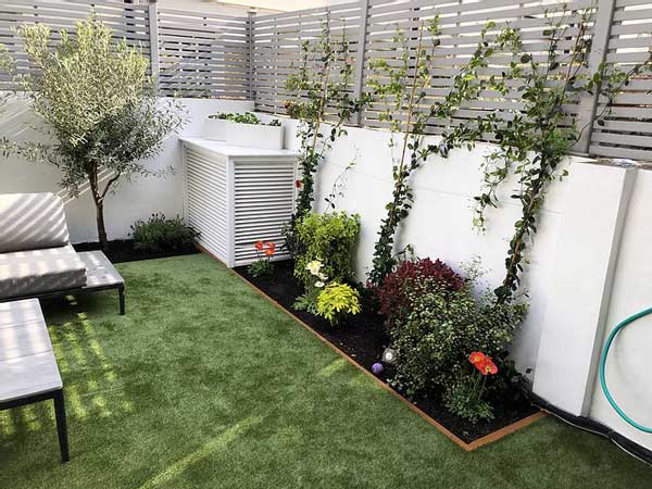plants in a battersea garden