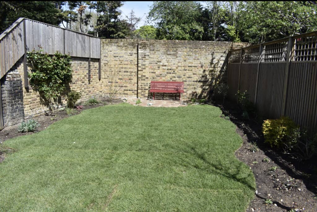 putney garden with bench