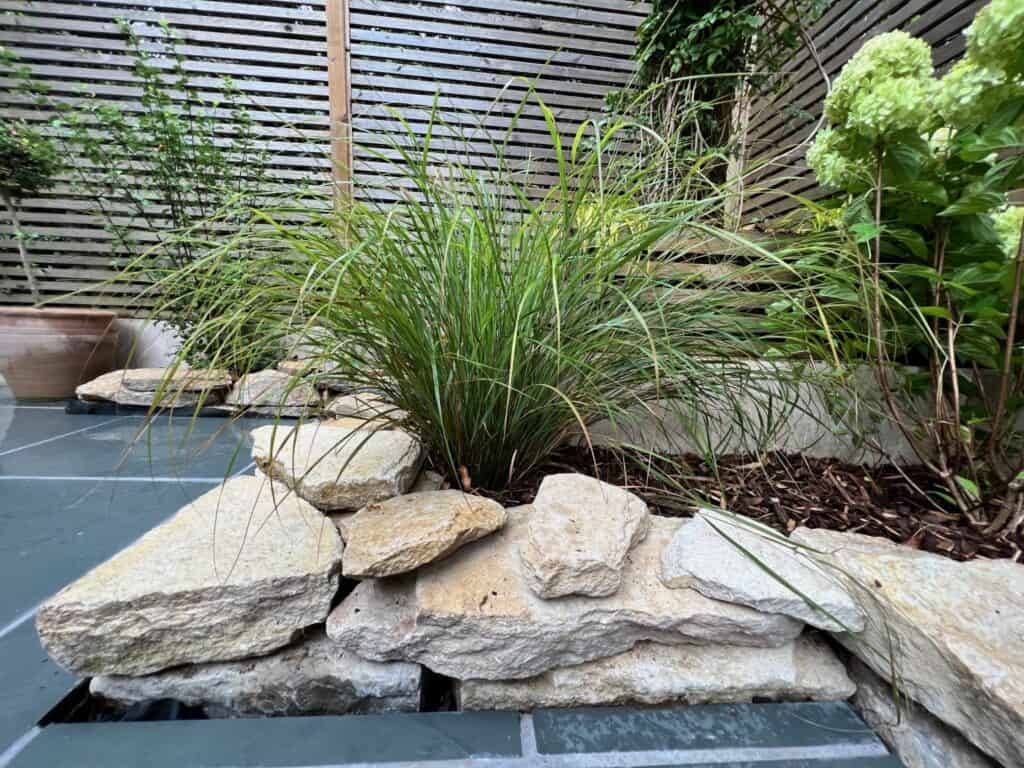 wimbledon garden close up