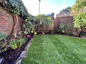 wimbledon garden transformation