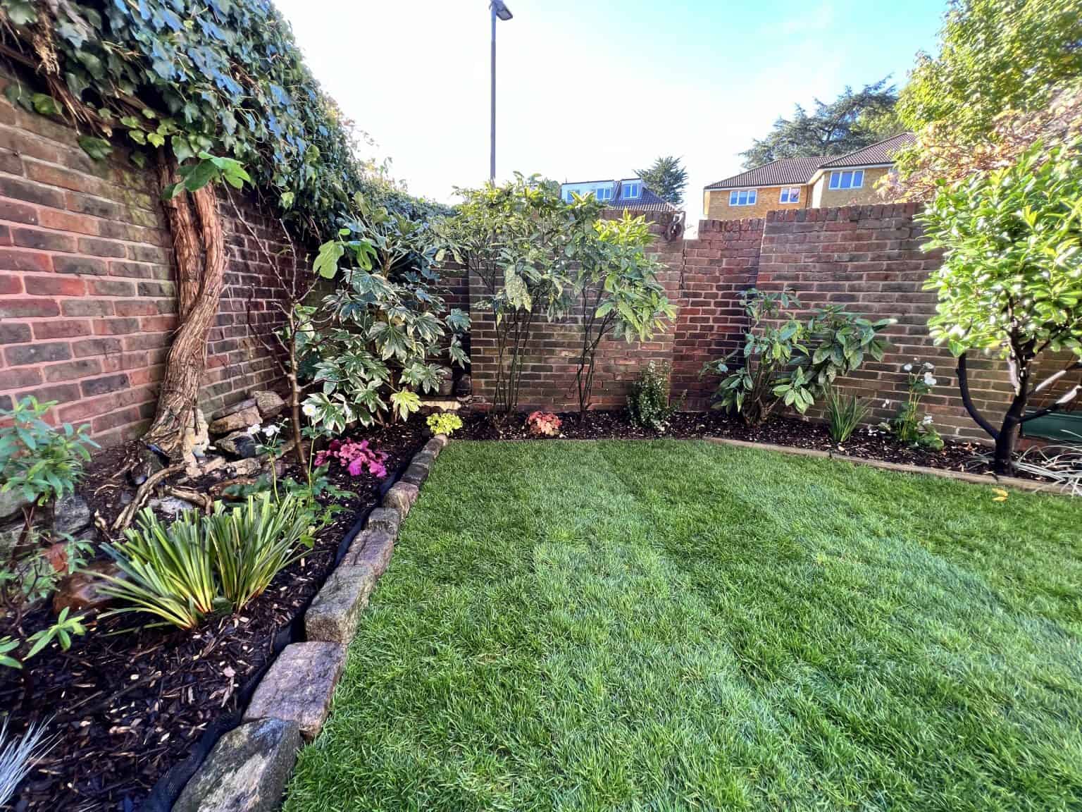 wimbledon garden transformation