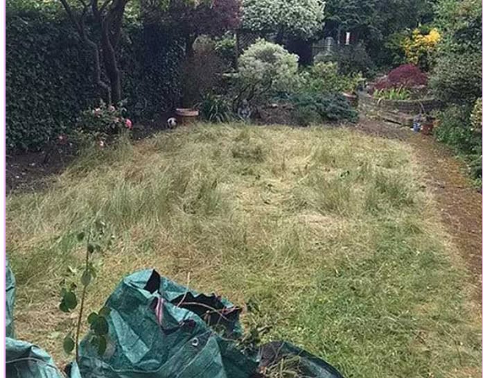 putney before picture